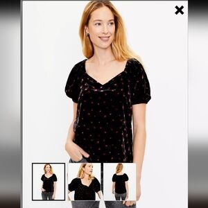 LOFT NWT Floral Velvet Puff Sleeve Top Womens Size XS Black Red